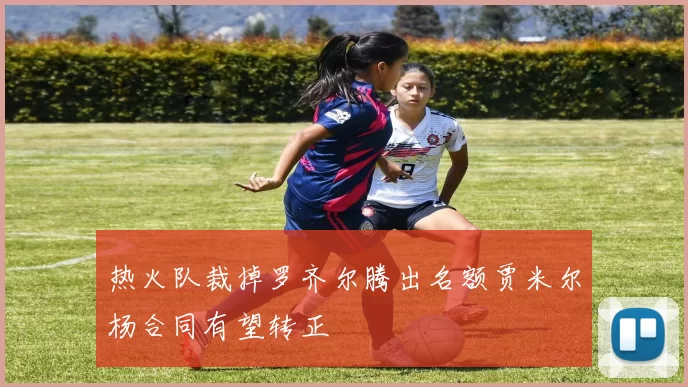 热火队裁掉罗齐尔腾出名额贾米尔杨合同有望转正